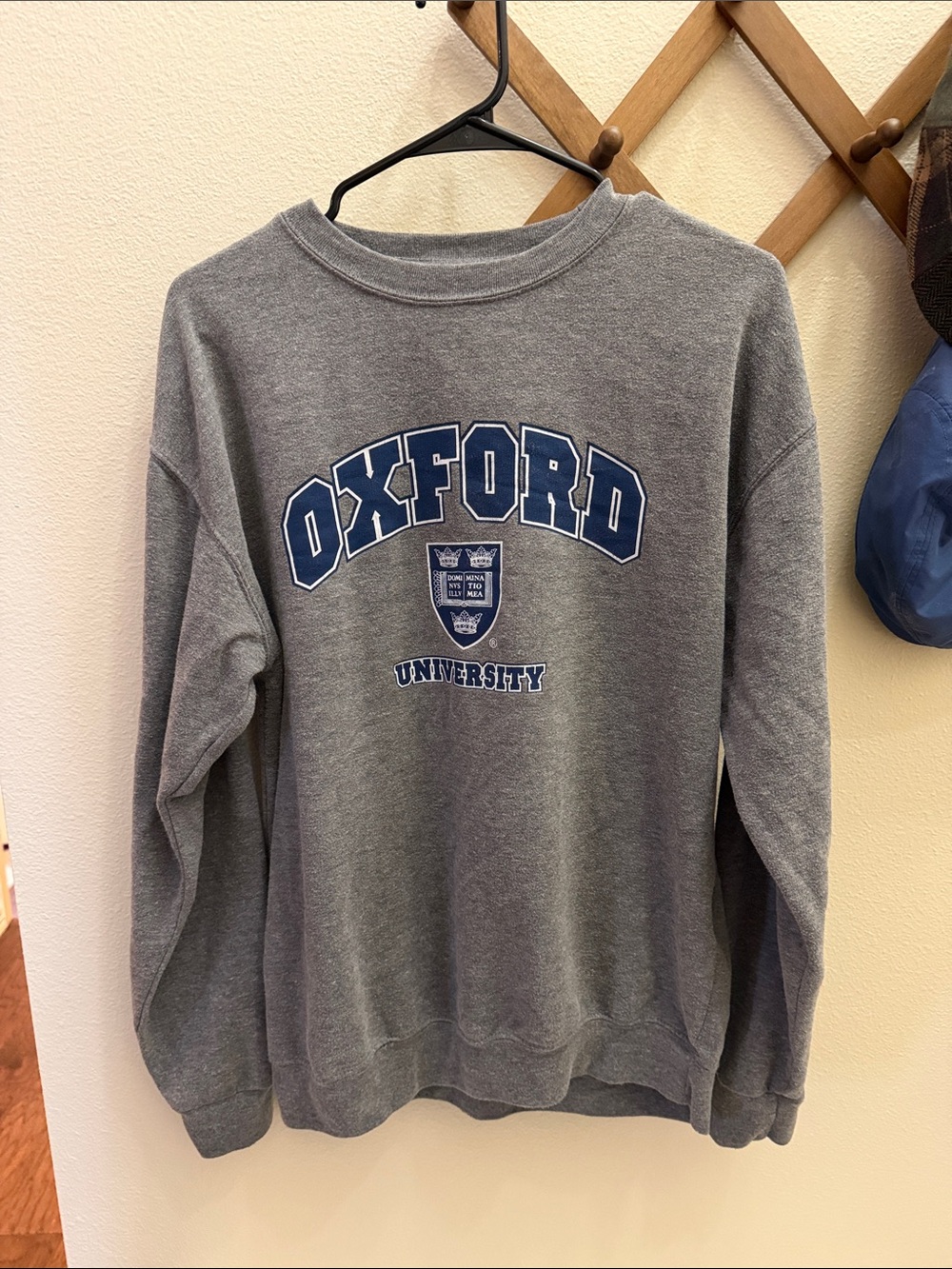 Oxford University Grey Crewneck Sweatshirt
